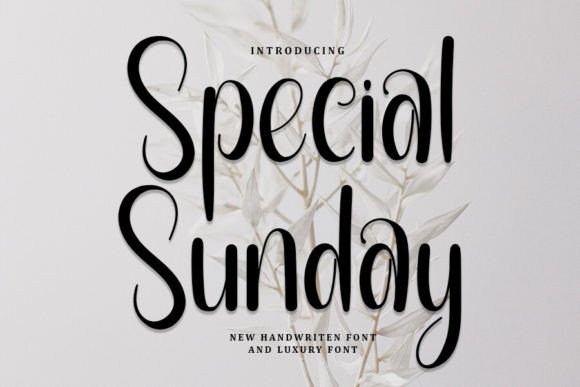 Special Sunday: A Font Review from a Real Branding Project