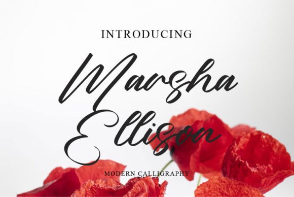 Using Marsha Ellison for Elegant Brand Identity Projects